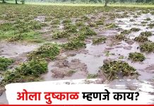 ‘ओला दुष्काळ’ जाहीर करण्याची मागणी
