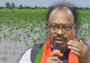 दिवाळीपूर्वी शेतकऱ्यांना मदत : महसूलमंत्री