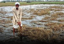 अतिवृष्टी-पूरसंकटात शेतकऱ्यांना दिलासा