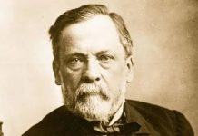 दुधाच्या पिशवीतला वैज्ञानिक: लुई पाश्चर आणि ‘पाश्चरायझेशनची’ कथा