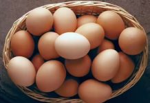 मुंबईत अंड्यांच्या दरात मोठी वाढ; डझनला ₹100 पर्यंत दर