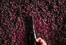 वा वा वाईन ची कुंडली !