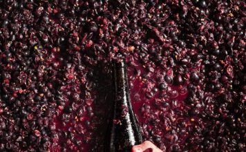 वा वा वाईन ची कुंडली !