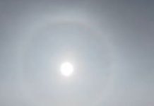 भारताची कन्या काम्या कार्तिकेयन – गिर्यारोहण विश्वातील तेजस्वी तारा