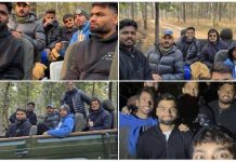 Team India Jungle Safari : भारत न्यूझीलंड टी-२० सामन्यापूर्वी भारतीय खेळाडूंची जंगल सफारी
