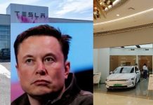 टेस्लाला धक्का: चीनच्या BYD ने हिरावला जगातील सर्वात मोठ्या EV उत्पादकाचा मुकुट