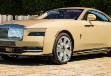 हि बातमी अतिश्रीमंतांसाठी; ‘कार’ नाही तर ‘कलाकृती’