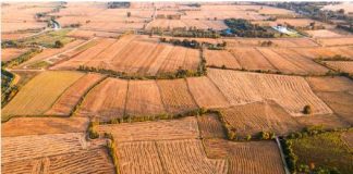 बिगरशेती परवानगीचे अधिकार जिल्हाधिकाऱ्यांकडून काढले !