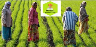 शेतकऱ्यांसाठी महत्त्वाची बातमी, PM किसानच्या २२ व्या हप्त्यापासून ‘हे’ शेतकरी राहणार वंचित