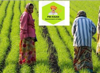 शेतकऱ्यांसाठी महत्त्वाची बातमी, PM किसानच्या २२ व्या हप्त्यापासून ‘हे’ शेतकरी राहणार वंचित