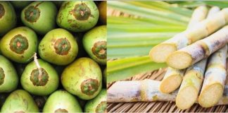 नैसर्गिक इलेक्ट्रोलाइटसाठी प्या ‘हे’ पेय व त्वरित ऊर्जा देण्यासाठी प्या ‘हे’ पेय