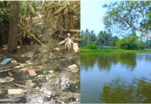 नाला ते नदी : मूलगामी परिवर्तनाची नवी सुरुवात !