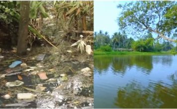 नाला ते नदी : मूलगामी परिवर्तनाची नवी सुरुवात !