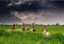 महाराष्ट्रात लवकर दाखल होणार मान्सून;पण ‘इतका’ पाऊस झाल्याशिवाय पेरणी नको !