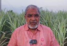 महाराष्ट्रात अवैध धंद्यांचा सुळसुळाट; सरकार अपयशी : राजू शेट्टी