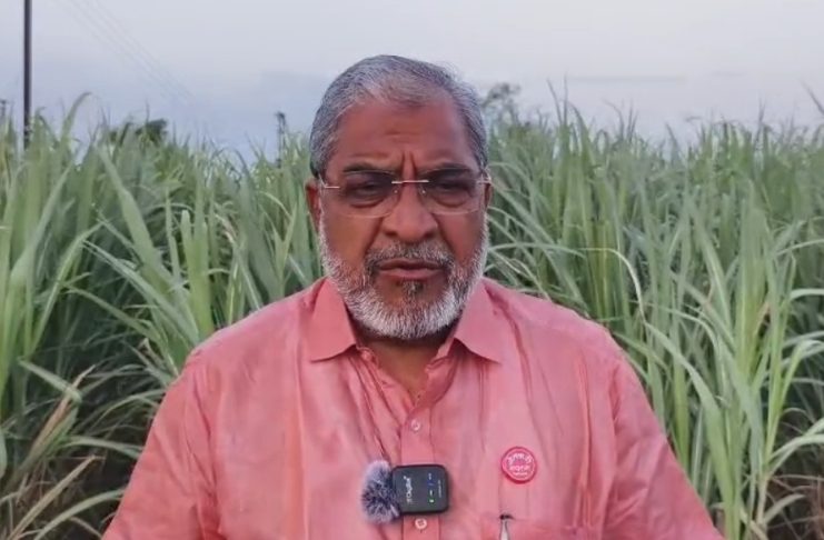 महाराष्ट्रात अवैध धंद्यांचा सुळसुळाट; सरकार अपयशी : राजू शेट्टी