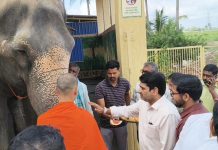 माधुरी पुन्हा आपल्या माणसांमध्ये; सतेज पाटलांकडून नांदणीत जाऊन पाहणी