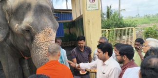 माधुरी पुन्हा आपल्या माणसांमध्ये; सतेज पाटलांकडून नांदणीत जाऊन पाहणी